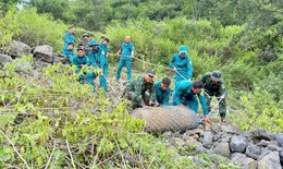 Bom 350kg còn nguyên kíp nổ lộ ra khi đào móng nhà