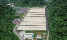 Thêm hai nạn nhân tử vong trong vụ tai nạn trang trại lợn Dabaco Thanh Hóa