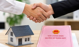 Nhờ đứng hộ tên trong sổ đỏ tiềm ẩn 3 rủi ro lớn, làm sao để đòi lại tài sản?