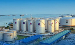 Cổ phiếu PLC được khuyến nghị mua