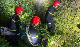 Án treo cho phi công dù lượn trong vụ du khách bị rơi tử vong ở bán đảo Sơn Trà