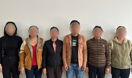 Bắt 6 người đánh bạc bằng hình thức 'binh Ấn Độ' tại chòi hoang