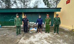 Phát hiện, tạm giữ 800kg nầm lợn đông lạnh không rõ nguồn gốc