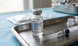 Có nên tiêm vaccine phòng bệnh sốt xuất huyết?