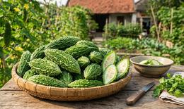 3 lợi ích nổi bật của mướp đắng với người bệnh đái tháo đường