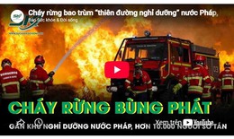 Cháy rừng bao trùm 'thiên đường nghỉ dưỡng' nước Pháp, hơn 10.000 người sơ tán khẩn