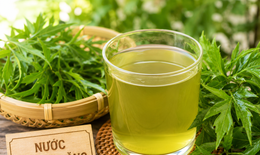 Hướng dẫn nấu nước lá đinh lăng đúng cách