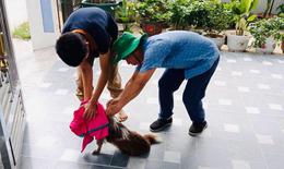 Y tế cơ sở tăng cường tuyên truyền phòng bệnh dại tại cộng đồng