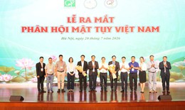 Hơn 6 triệu người Việt mắc viêm gan B mạn tính, cảnh báo nguy cơ ung thư gan