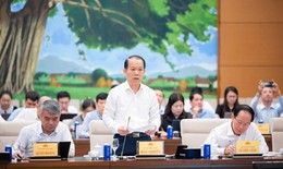 Đề xuất Luật Phát triển đô thị: Phân quyền mạnh để tạo đột phá cho TPHCM