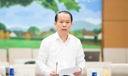 Sửa đổi toàn diện Luật Đấu giá tài sản, tăng minh bạch và ngăn chặn trục lợi