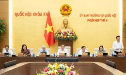 Đề xuất nhiều chính sách mới khi sửa đổi toàn diện Luật Đất đai năm 2024