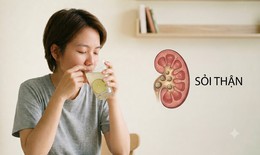 Người bị sỏi thận nên uống nước chanh hằng ngày như thế nào?