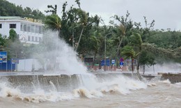 Hải Phòng khẩn trương triển khai các biện pháp ứng phó bão số 1