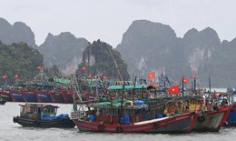 Quảng Ninh: 1 người mất tích do mưa bão, cấm biển từ 12 trưa nay