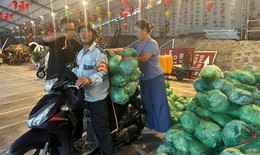 Những chuyến xe chở bắp cải phát miễn phí trước bão số 1 