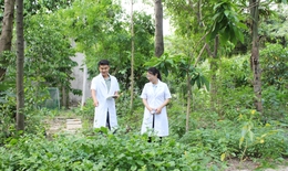 Giữa TPHCM có một ‘kho báu’ cây thuốc ít người biết