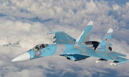 Nguồn gốc tuyệt kỹ 'Rắn hổ mang' của Su-27 Liên Xô từng khiến phương Tây 'chết lặng'