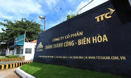 Công ty Cổ phần Thành Thành Công - Biên Hòa vi phạm chứng khoán