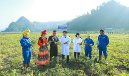 Dược liệu sạch, nhà máy GMP – Hành trình 'làm thật' của Dược phẩm Tâm Bình