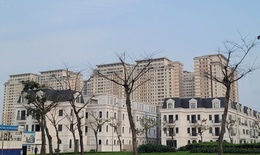 Phát triển nhà ở cho thuê: Chính sách mới của Hà Nội mang lại lợi ích gì cho người dân?