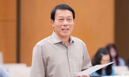 Đề xuất không truy cứu trách nhiệm hình sự với một số vi phạm vì lợi ích chung