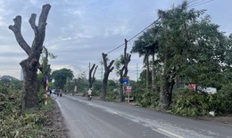 Dự án đường 70 qua Xuân Phương, Hà Nội: Hàng loạt cây xanh, nhà xưởng được dỡ bỏ