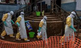 CHDC Congo trở thành nơi bùng phát dịch Ebola lớn thứ hai trong lịch sử