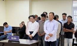 Hai tổng giám đốc lĩnh án vì sản xuất, buôn bán phân bón giả