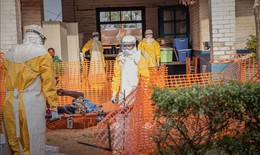 Dịch Ebola: WHO để ngỏ khả năng đảo ngược đà lây lan tại CHDC Congo trong 3 tháng