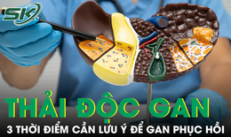 3 thời điểm đặc biệt trong ngày cần lưu ý để gan phục hồi, thải độc