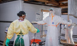 Liên hợp quốc: Mỗi 30 phút lại có 1 người chết vì Ebola