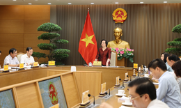 Phó Thủ tướng Phạm Thị Thanh Trà: Người cao tuổi là nguồn lực, động lực phát triển