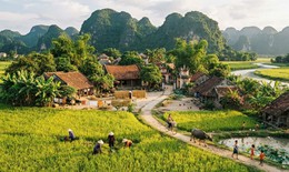 Thủ tục cấp giấy chứng nhận quyền sử dụng đất trước ngày 1/8/2024