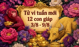 Tử vi tuần mới 12 con giáp 3/8 - 9/8: Mùi công việc đình trệ, Tý tình duyên chuyển biến