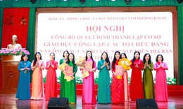 Các xã, phường ở Hải Phòng sắp xếp lại trường học