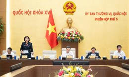 Hộ kinh doanh, doanh nghiệp doanh thu dưới 10 tỷ đồng được đề xuất giảm 30% thuế