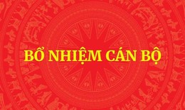 Bổ nhiệm Trợ lý Phó Thủ tướng Hồ Quốc Dũng
