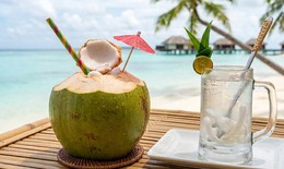 Sốt xuất huyết có nên uống nước dừa? Những điều cần biết khi bù nước