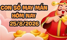 Con số may mắn hôm nay 25/8/2026 - số tài lộc 12 con giáp theo năm sinh