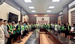 Từ vụ trồng cây cần sa, lộ đường dây ma túy liên quan diễn viên KiềuThanh