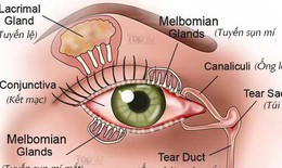 Tại sao người cao tuổi dễ bị khô mắt và cách khắc phục