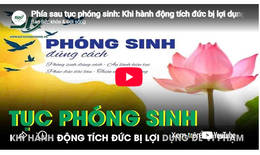 Phía sau tục phóng sinh: Khi hành động tích đức bị lợi dụng làm 'vỏ bọc' cho vi phạm