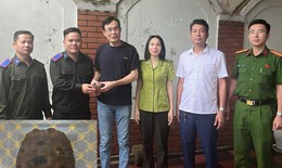 Người dân giao nộp rùa núi vàng quý hiếm