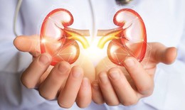 7 thói quen giúp bảo vệ thận