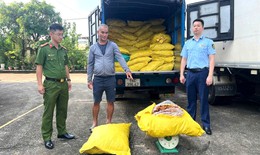 Lời khai chủ hàng gom hơn 1,7 tấn chân gà đựng trong 80 bao tải dứa