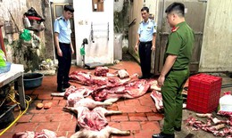 Phát hiện gần 1 tấn thịt lợn nghi nhiễm dịch tả lợn châu Phi