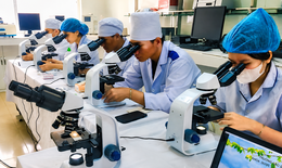 Sắp xếp tinh gọn cơ sở đào tạo y tế phải lấy an toàn người bệnh làm thước đo