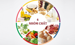 Cách xây dựng thực đơn ăn dặm cân bằng 4 nhóm chất cho trẻ