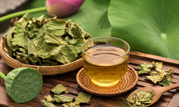 Uống trà lá sen vào thời điểm nào hỗ trợ giảm cân hiệu quả nhất?
